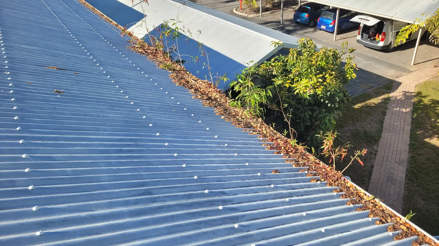 Blocked gutter full of leaves and debris before cleaning